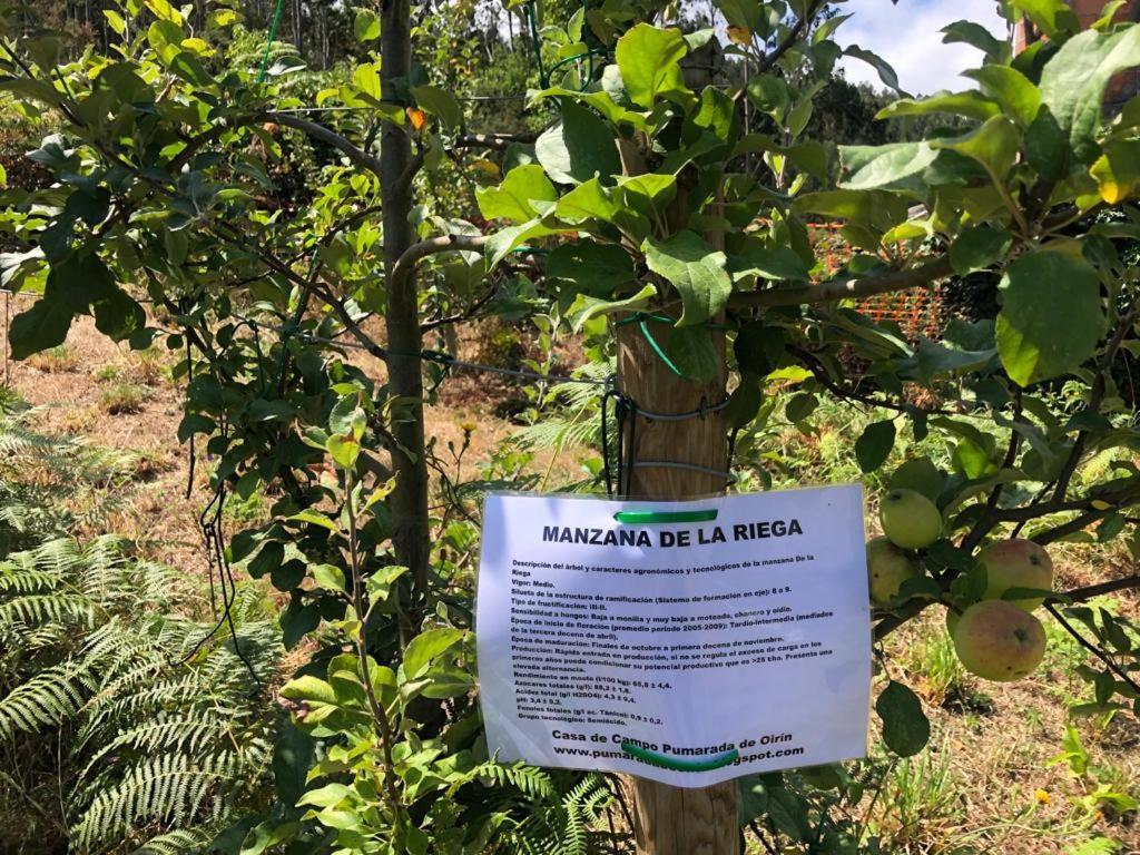 Casa De Campo Pumarada De Oirin Foz Zewnętrze zdjęcie
