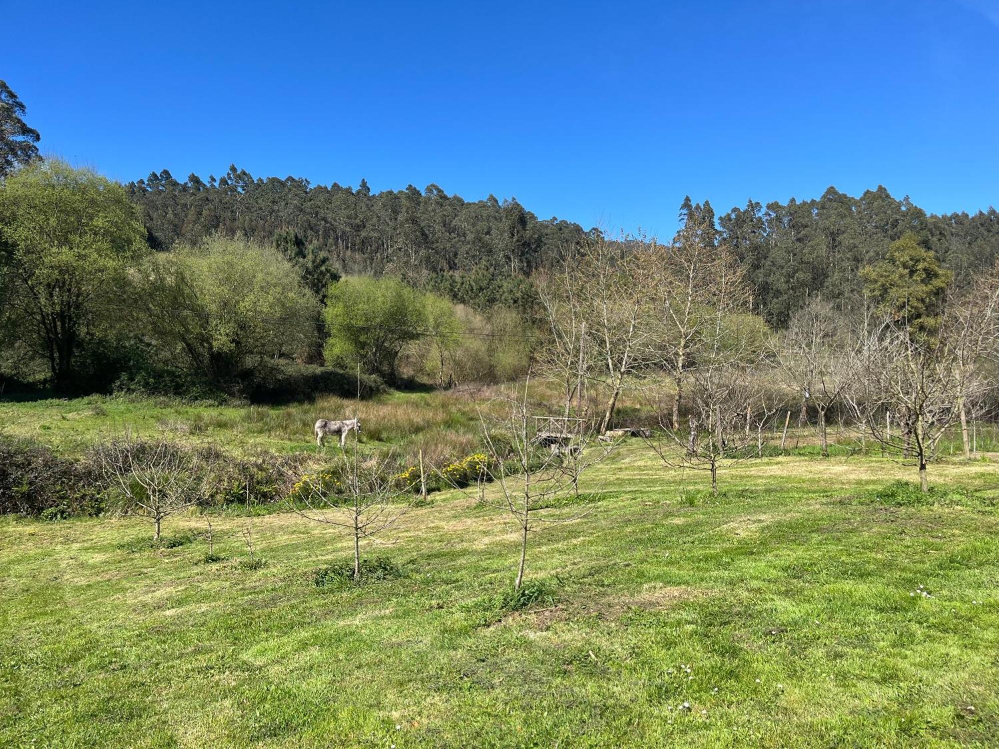 Casa De Campo Pumarada De Oirin Foz Zewnętrze zdjęcie